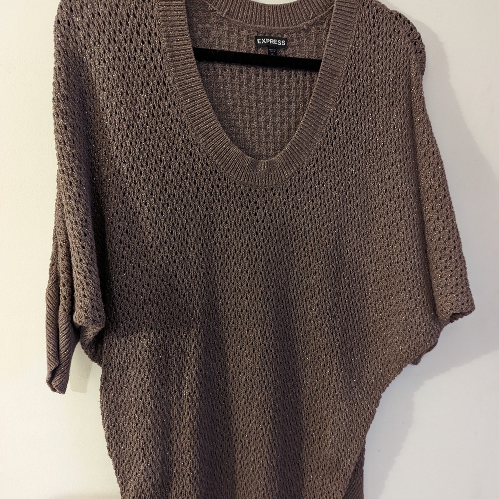Express Sweater